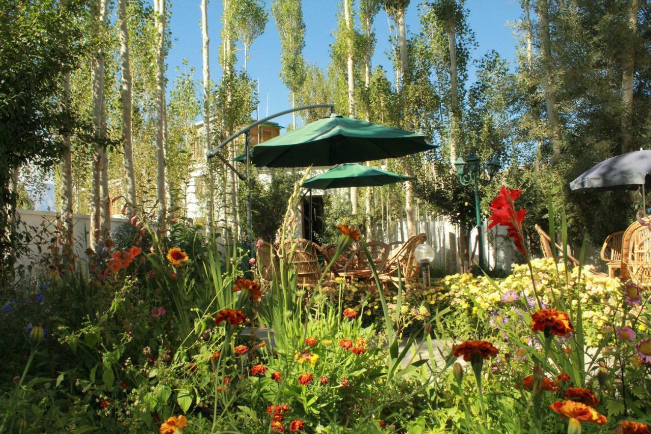 Hotel Ladakh Greens - An Organic Retreat Leh Eksteriør billede